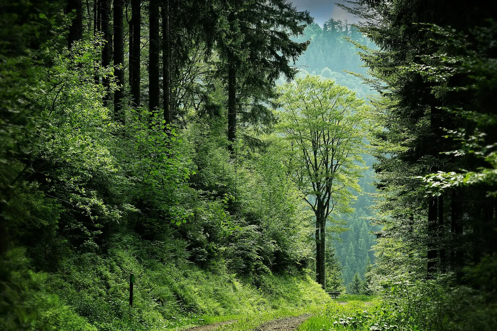 Bold Initiative Unites Farmers and Brands in Ambitious Drive to Transform 100 Million Acres into Regenerative Farmland by 2025 | Regenerative Agricultural Investments