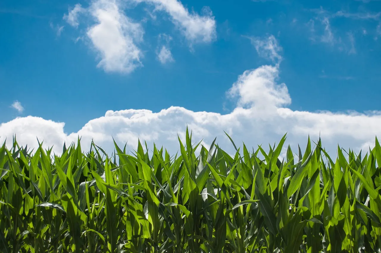 Conservation Resources wins global impact fund manager of the year from Agri Investor Awards