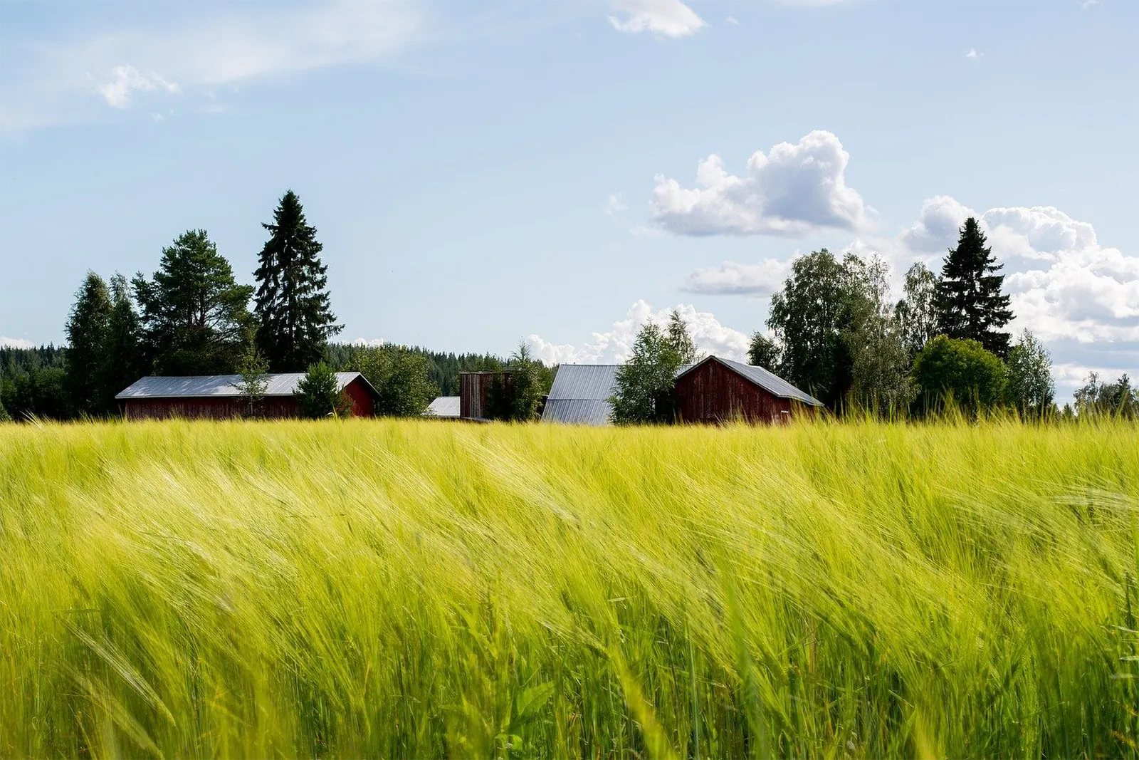 Conservation Resources Achieves Final Close for Inaugural Farmland Fund | Regenerative Agricultural Investments