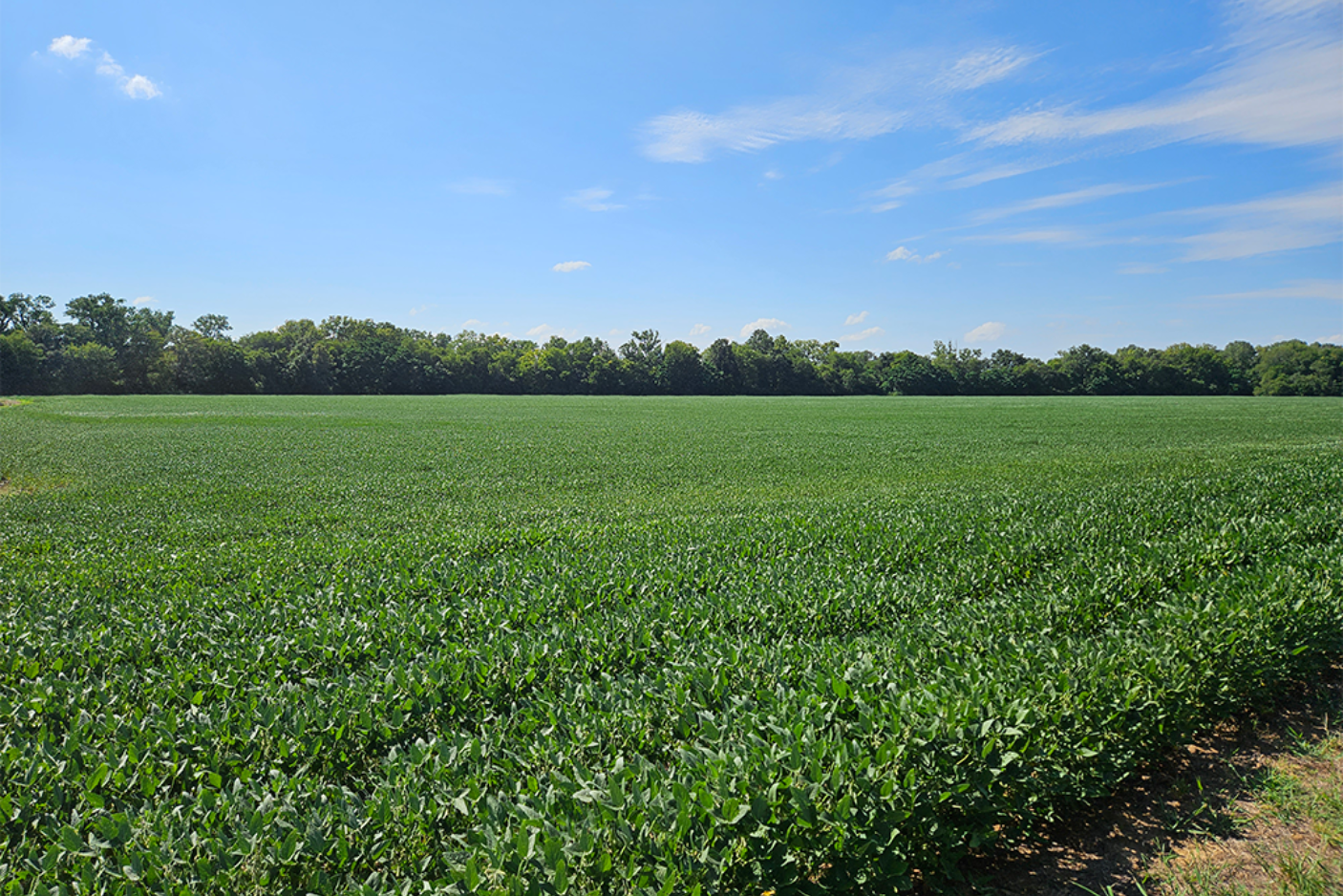 Gardner Farms, Arkansas | Regenerative Agricultural Investments