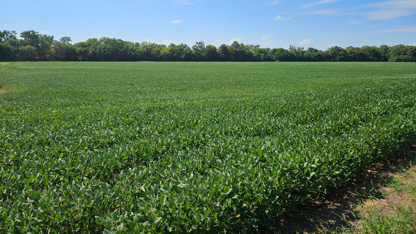 Sustainable Farmland Investments Conservation Resources