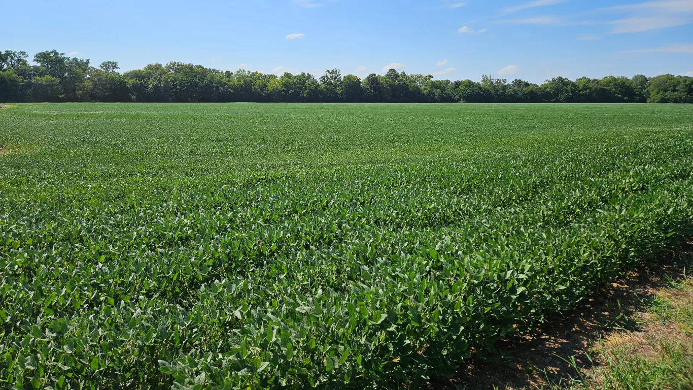 Sustainable Farmland Investments Conservation Resources