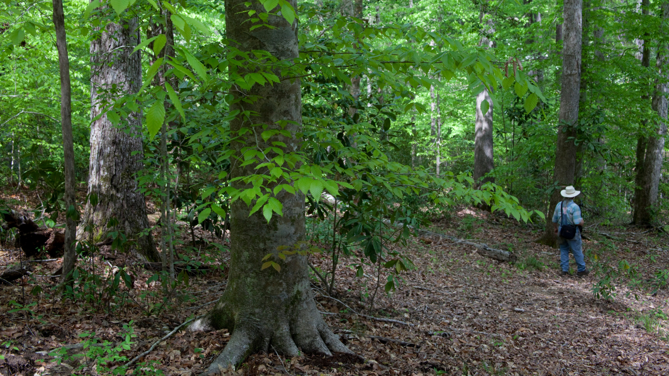 Sustainable Forestry Investments Conservation Resources