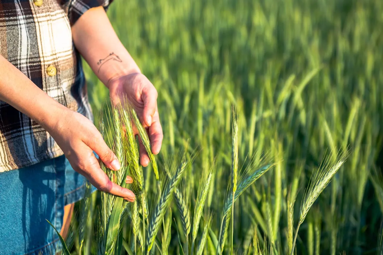 Impact Investing Excellence: Runner Up for Farmland Manager of the Year in Agri-Investor Awards