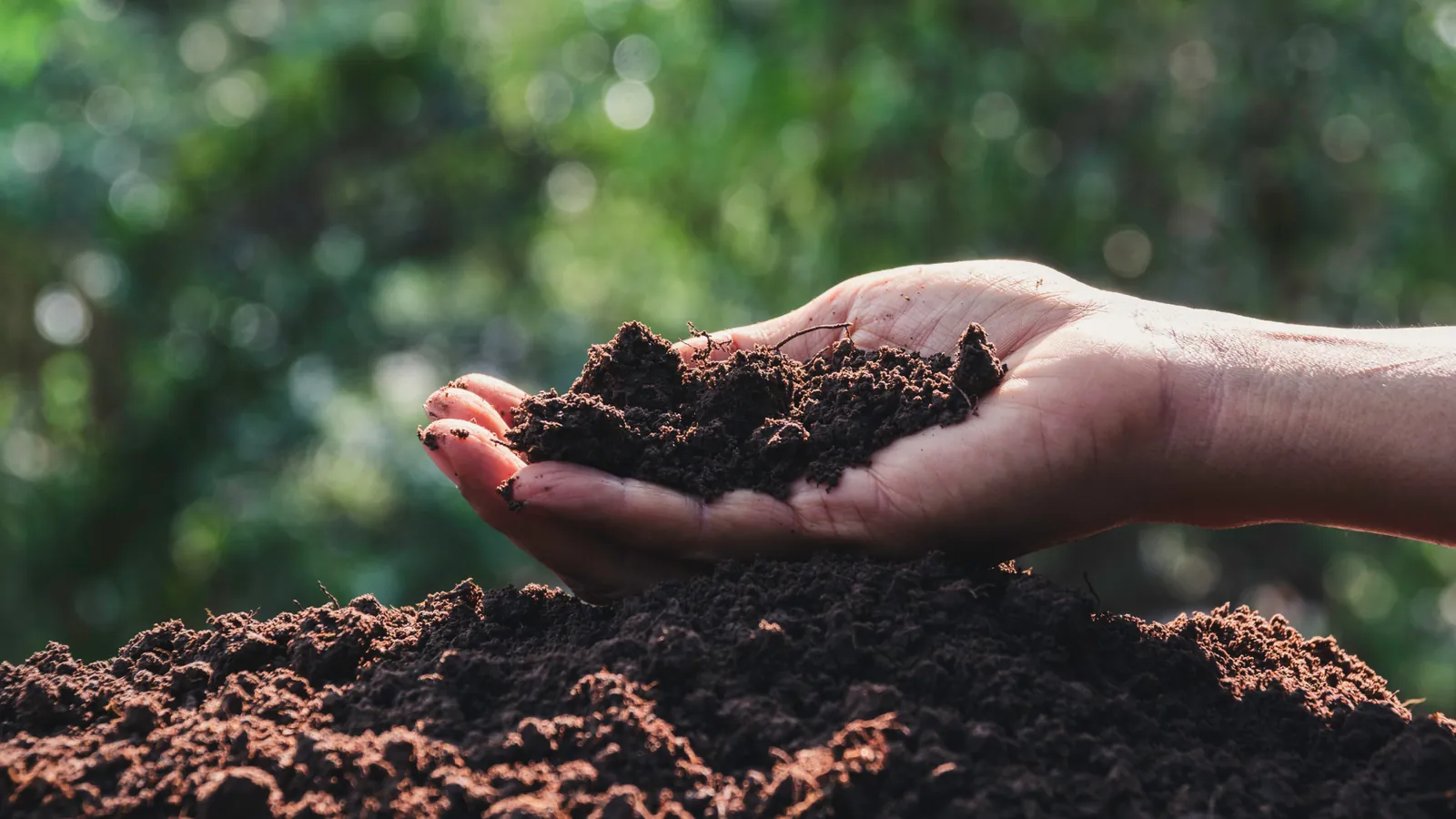 Conservation Resources and Achmea Investment Management Partner on Impact Regenerative Farmland Investments